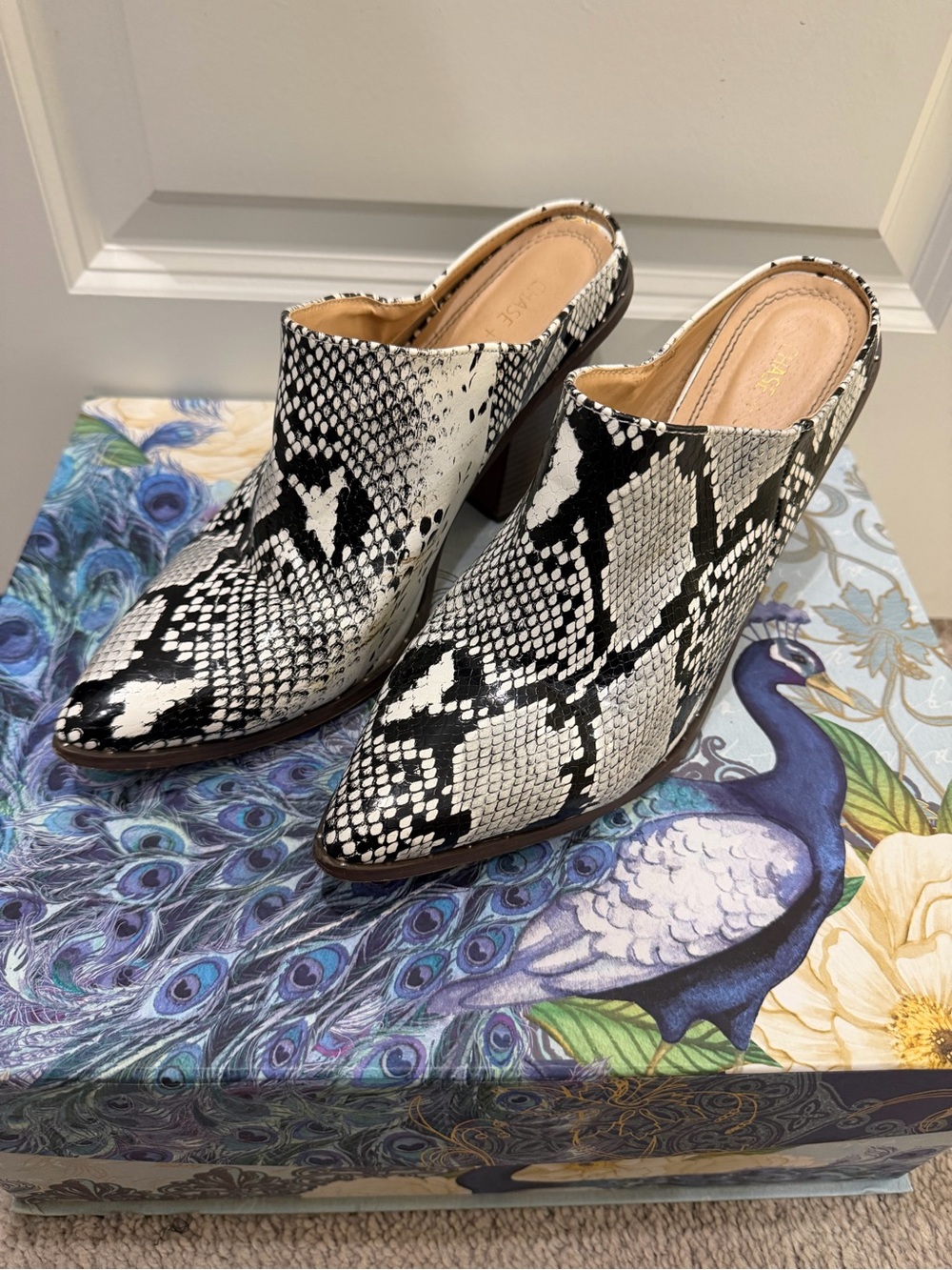 Chase + Chloe Chamber-1 Snakeskin Pointed Toe Block Heel Mules Size 10